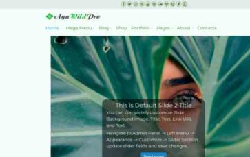 AyaWildPro (screenshot desktop)