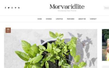 Morvaridlite (screenshot desktop)