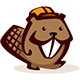 Author Icon