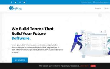 Bizberg Agency (screenshot desktop)