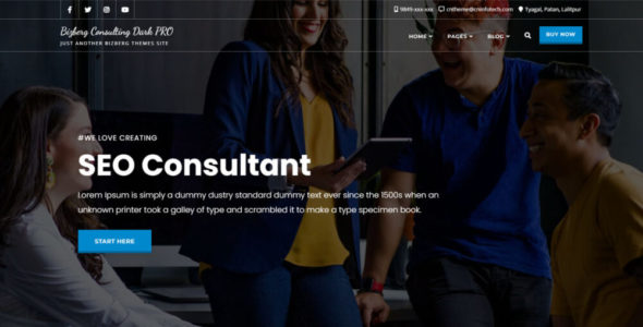 Bizberg Consulting Dark Pro (Bizberg Themes)