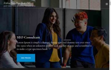 Bizberg Consulting Dark Pro (screenshot desktop)