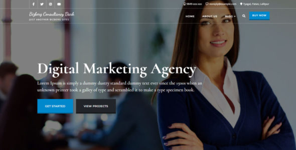 Bizberg Consulting Dark (Bizberg Themes)