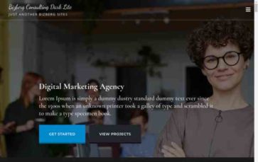 Bizberg Consulting Dark (screenshot desktop)