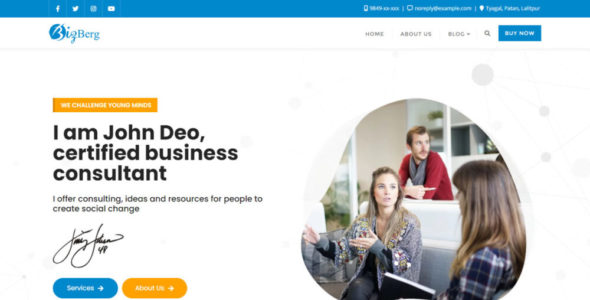 Bizberg Individual Consultant (Bizberg Themes)