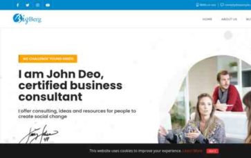 Bizberg Individual Consultant (screenshot desktop)