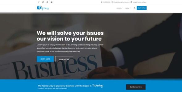 Bizberg Pro (Bizberg Themes)