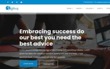 Bizberg Pro (screenshot desktop)