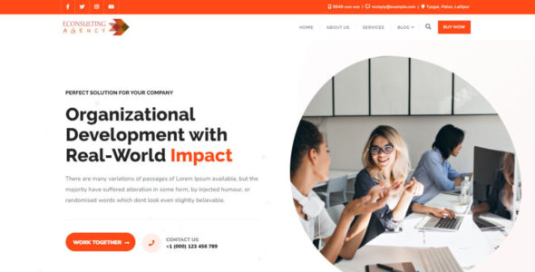 eConsulting Agency (Bizberg Themes)