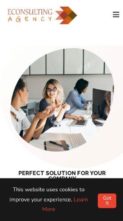 eConsulting Agency (screenshot mobile)
