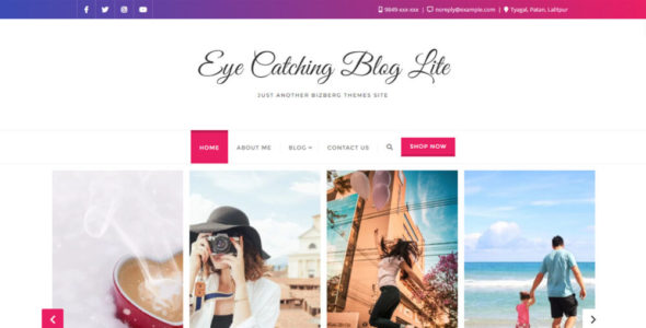 Eye Catching Blog Pro (Bizberg Themes)
