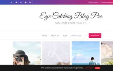 Eye Catching Blog Pro (screenshot desktop)