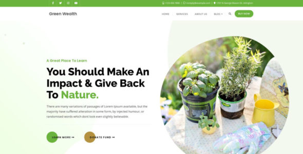 Green Wealth (Bizberg Themes)