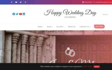 Happy Wedding Day Pro (screenshot desktop)