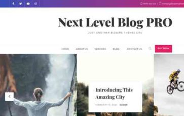 Next Level Blog Pro (screenshot desktop)