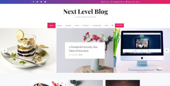 Next Level Blog (Bizberg Themes)