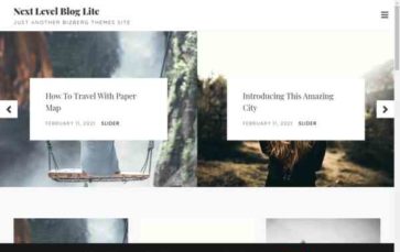 Next Level Blog (screenshot desktop)