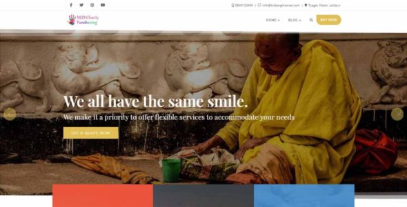 NGO Charity Fundraising Pro (Bizberg Themes)