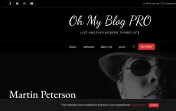 Oh My Blog Pro (screenshot desktop)