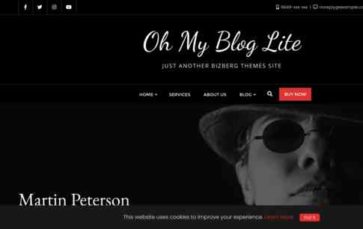 Oh My Blog (screenshot desktop)