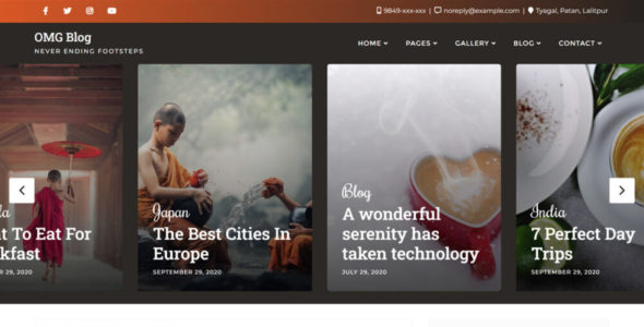 OMG Blog (Bizberg Themes)