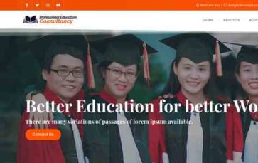 Professional Education Consultancy (screenshot desktop)