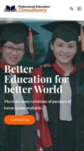 Professional Education Consultancy (screenshot mobile)