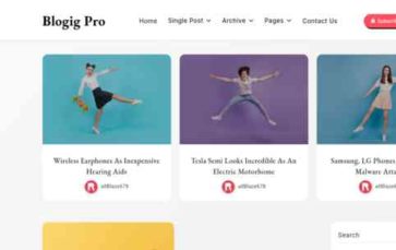 Blogig Pro (screenshot desktop)