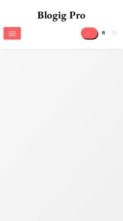 Blogig Pro (screenshot mobile)