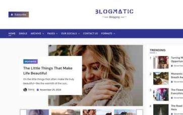 Blogmatic Pro (screenshot desktop)