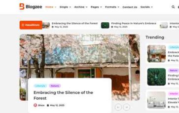 Blogzee Pro (screenshot desktop)