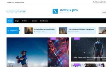 Newsis Pro (screenshot desktop)