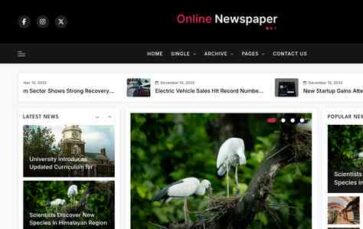 Online Newspaper Pro (screenshot desktop)