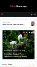 Online Newspaper Pro (screenshot mobile)
