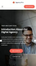 BlocksKit Agency Pro (screenshot mobile)