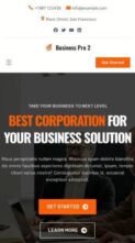 Blockskit Business Biz Pro (screenshot mobile)