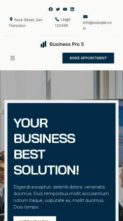 Blockskit Business Company Pro (screenshot mobile)