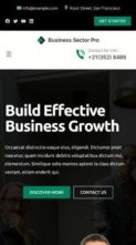 Blockskit Business Sector Pro (screenshot mobile)