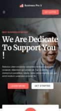 Blockskit Business Solutions Pro (screenshot mobile)