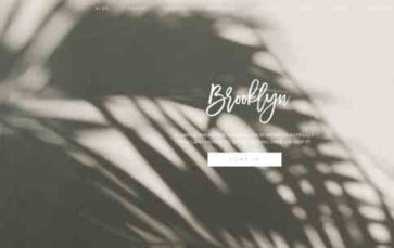 Brooklyn (Blogzilla Studio) (screenshot desktop)