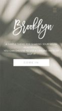 Brooklyn (Blogzilla Studio) (screenshot mobile)