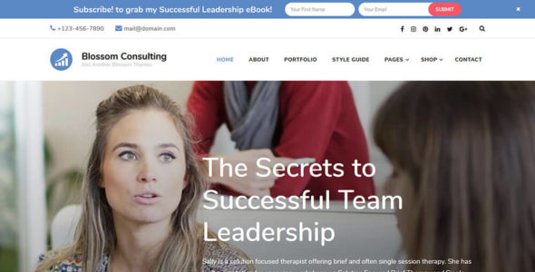 Blossom Consulting (Blossom Themes)