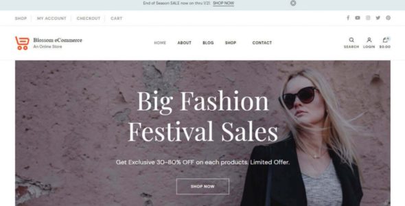 Blossom ECommerce (Blossom Themes)