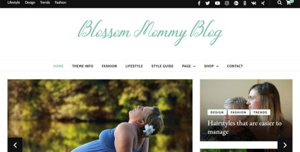 Blossom Mommy Blog (Blossom Themes)