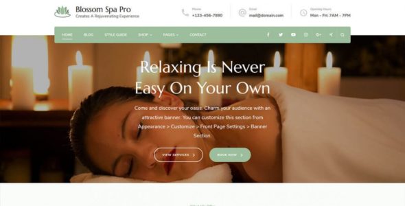 Blossom Spa Pro (Blossom Themes)