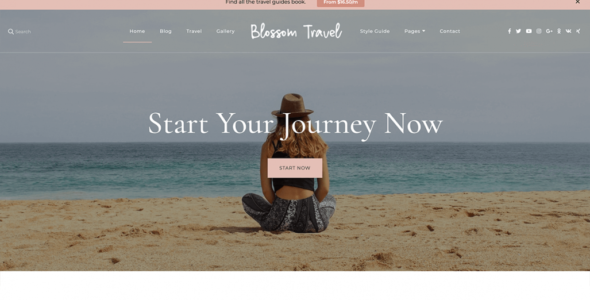 Blossom Travel Pro (Blossom Themes)