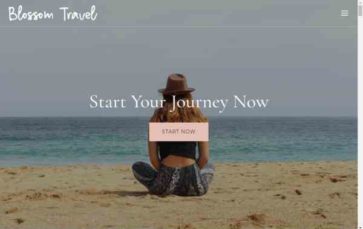 Blossom Travel Pro (screenshot desktop)