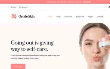 Shopexcel Pro (screenshot desktop)