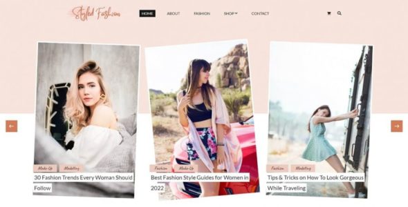 Styled Fashion (Blossom Themes)