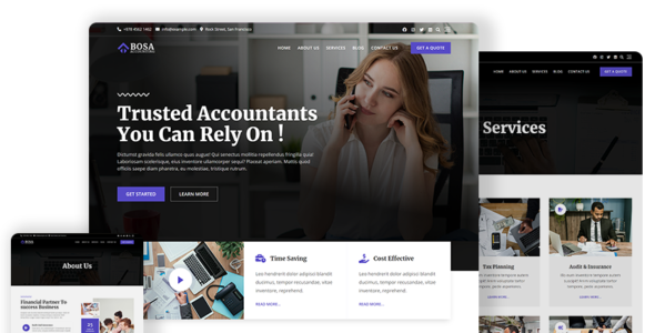 Bosa Accounting (Bosa Themes)